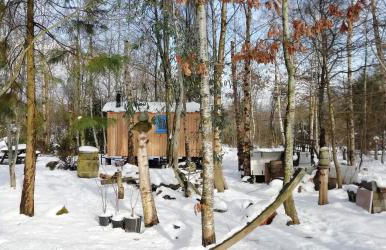 Sapphire forest garden shepherd’s hut - Foto 20