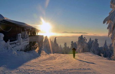Gasthof Zum Wirt Ferienwohnung Hohenbogenblick - Foto 52