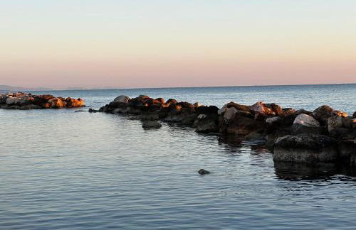Le Ortensie in centro e vicino al mare - Foto 54