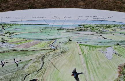 O nid des greves - Foto 43