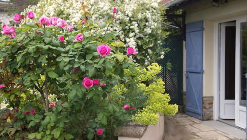 Clair logis - Foto 2, Garden view