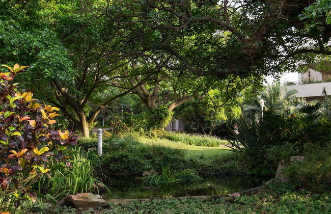 302 Oyster Schelles - Foto 30