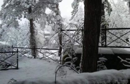 La Stella Alpina - Photo 19