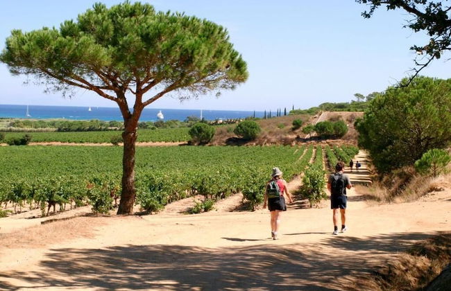 Village Vacances de Ramatuelle - Le Sentier des Pins - Foto 27