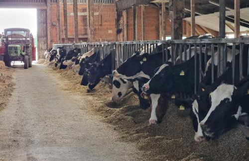 Ferienwohnung Lookenhof - Foto 28