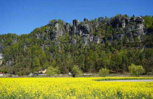 Ferienwohnung Familie Frank - Foto 42