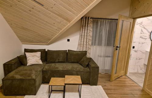 Apartament z prywatną wanną z hydromasażem - U Parów - Foto 69