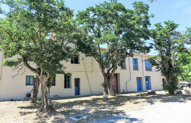 Les Vendanges - Foto 37