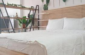 Φρίντα στο κέντρο της Ορεστιάδας - Foto 11