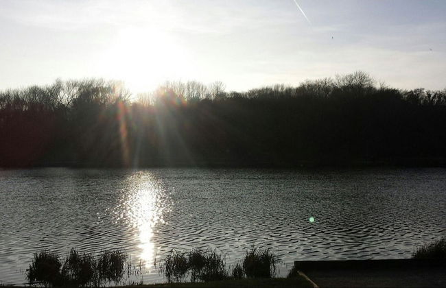 Hidden Treasure- 2 Beds Sleeps 3 Gillingham - Foto 19