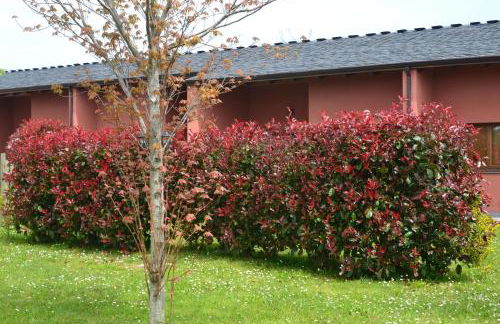 Apartamentos El Guindal - Foto 39