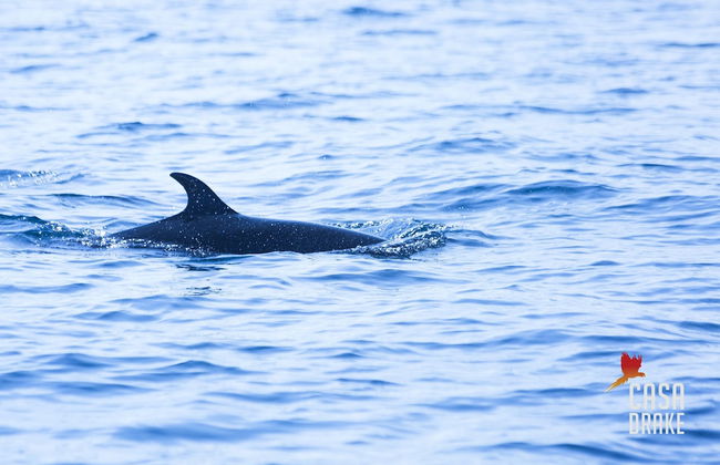 Room-private Honeymoon Bungalow - Foto 15