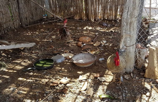 Yasmine Maamoura Beach - Foto 22