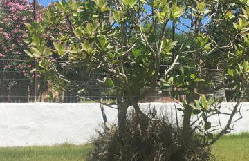 Dolce Bungalow R5915 - Foto 17