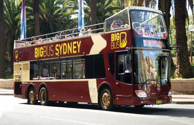 Big Bus Sydney: 48-Hour Hop-On Hop-Off and Harbour Hopper Tour - Foto 3