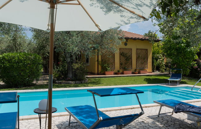 Olive Grove Sabina - Foto 24