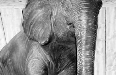 Le Mas du Fort - Foto 47