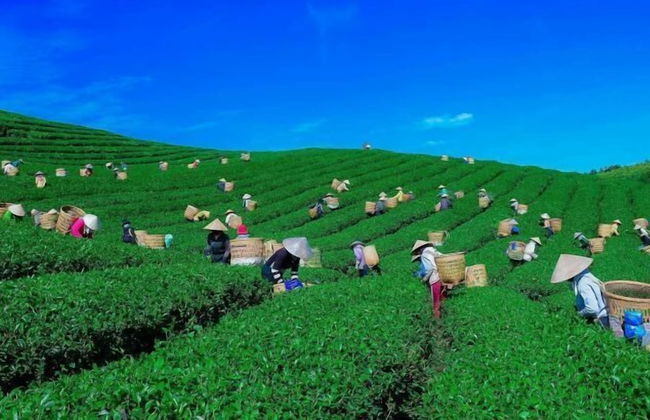 The Tropicana B'la Village Hotel - Foto 58