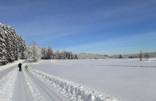 Ferienwohnung Boch Schluchsee - Foto 38
