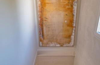 Musa do Pico - Photo 19