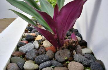 Furnas Springs - Foto 31