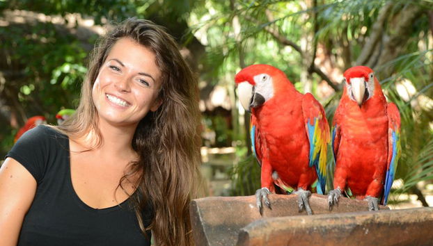 Xcaret Basic Eintrittskarte - Foto 4