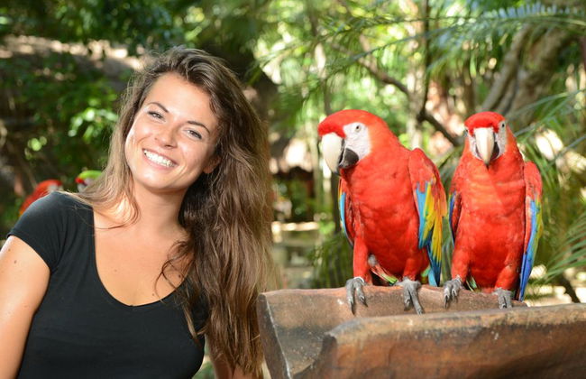 Xcaret Basic Eintrittskarte - Foto 4