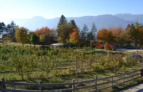 Agritur Scoiattolo - Foto 42