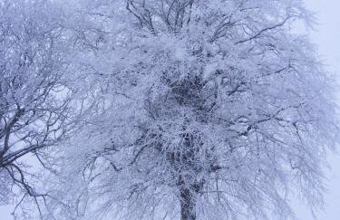 Ballyhargan Farm House - Foto 40