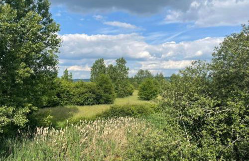 Gîte des Comtes du Perche 2 logements indépendants de 40 et 25 m2 - Foto 6