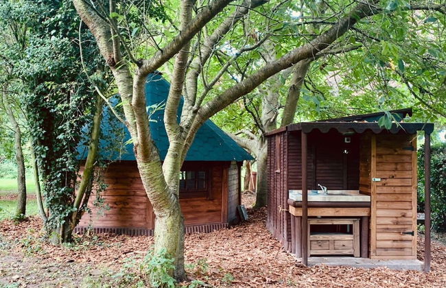 Starry Meadow - Foto 57