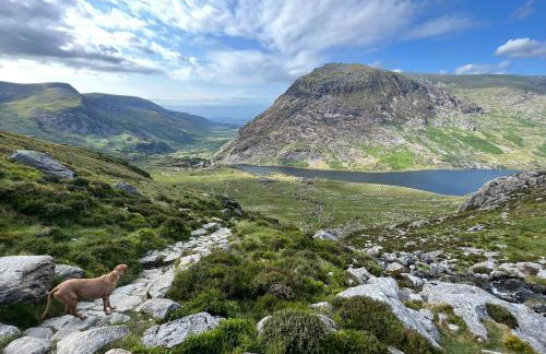Red Dragon Cottages nr Mt Snowdon - Photo 49