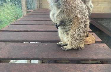 Wild Coastal Retreat at Troed Y Rhiw Aberporth, West Wales - Foto 36