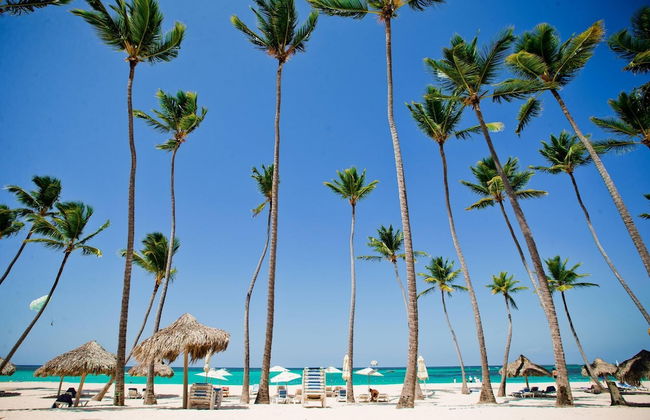 Punta Cana Beachfront - Punta Cana Ocean View Paradise - Photo 18