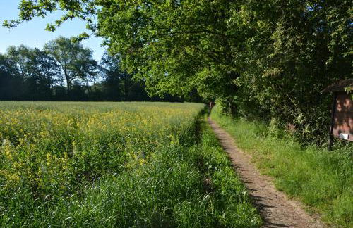 Ferienappartements "Landromantik" - Foto 57