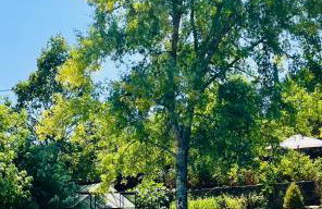 Gîte La Blanchie Haute - Foto 22