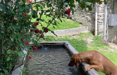 Casa Vanda - Photo 11