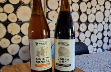 Wiejska Chata - Foto 44