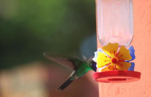 Recanto do Encanto Eco Beach Stay - Foto 75