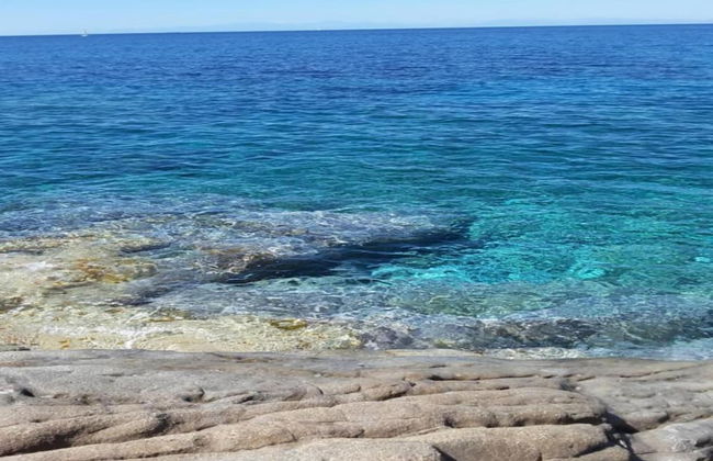 Apartment for 4 People, Poppi - Foto 26