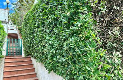 N107 - Numana, villetta con giardino - Foto 15