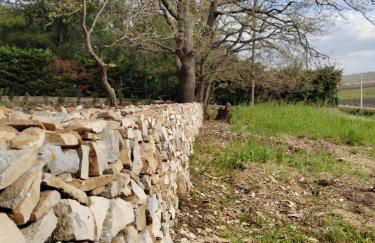 Terre di Sveva - Foto 42