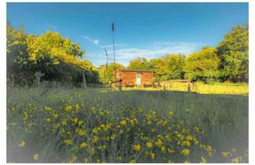Mountbatten Shepherds hut & Buckhurst Shepherds hut - Photo 76