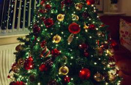 Lime Tree House - Foto 71