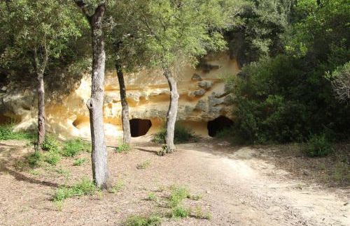 Podere Campo alle Serpi - Foto 39