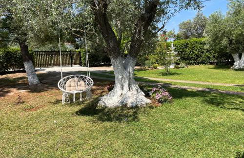 Les Olives Woodhouse - Foto 6