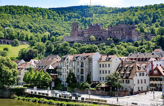 BS Luxury Apartment - Foto 47