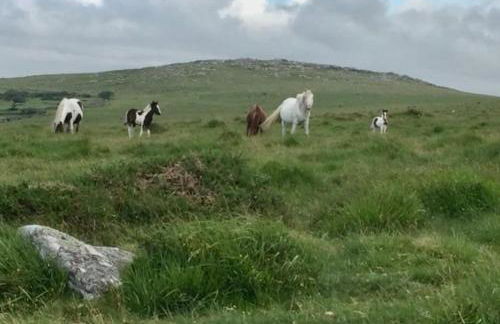 Little Barn - Foto 58