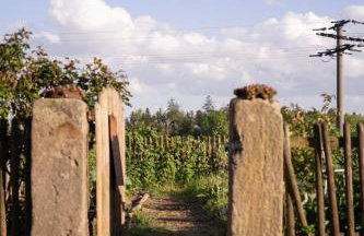 Ferienwohnung auf Biohof Gutso - Foto 17