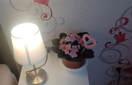 Zimmer und Apartment Rosi - Foto 67